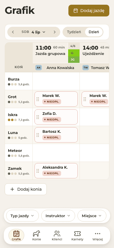 zrzut ekranu — dzisiejszy grafik